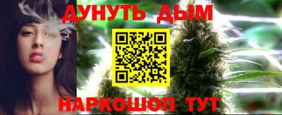 бошки Гатчина