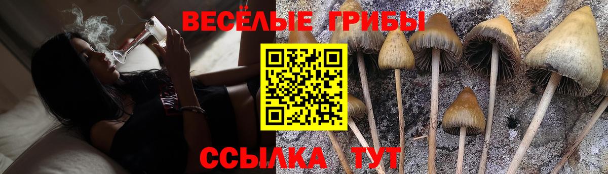 Галлюциногенные грибы GOLDEN TEACHER  Вход с VPN  Нижнеудинск 